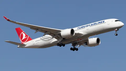 TC-LGG · Airbus A350-941 · LTFM